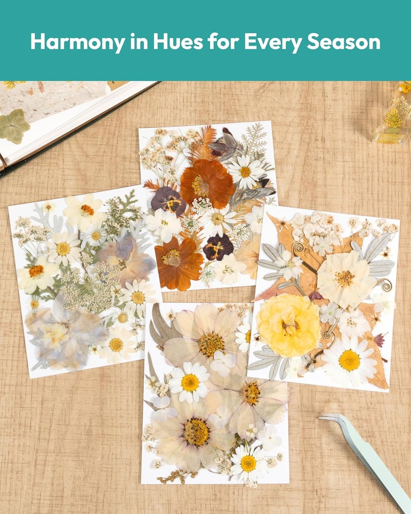 Resiners Dried Flowers, 100Pcs Pressed Flowers for Craft Real Natural Dried Flowers Dry Leaves Kit for DIY Making Crafts Resin Soap Candle Scrapbook Supplies Jewelry Making - Image 5